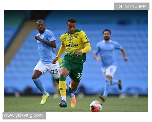 雷丁与伯恩茅斯竞彩009对决分析及赛前预测全解析